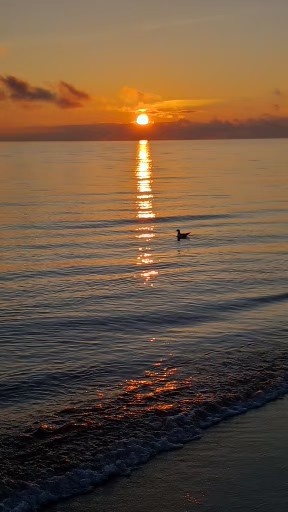 Zachód słońca nad morzem
